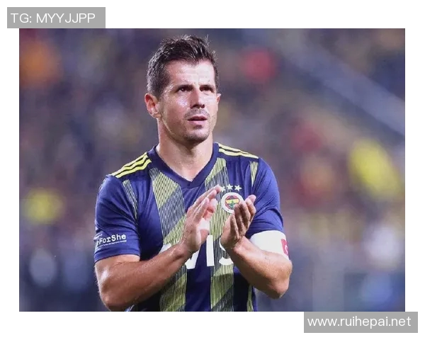 荷兰足球传奇老将盘点他们的辉煌与成就