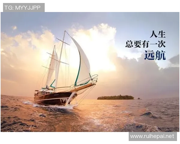 宝藏篮球明星的崛起与传奇故事揭示他们背后的努力与坚持